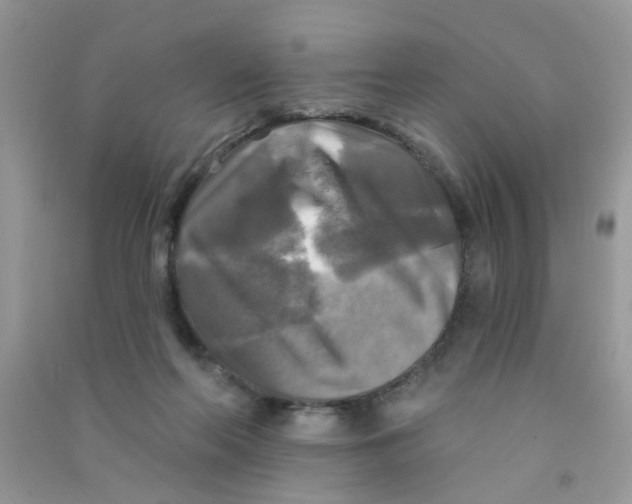 X0000090770214200708172114