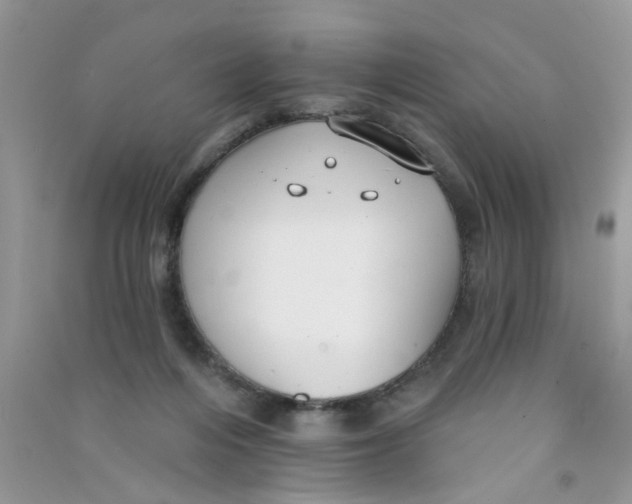 X0000090770216200708172114