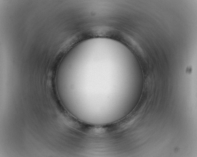 X0000090770217200708172114