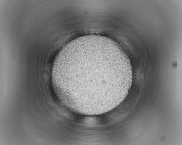 X0000090770218200708172114
