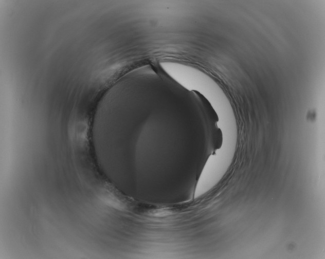 X0000090770219200708172114