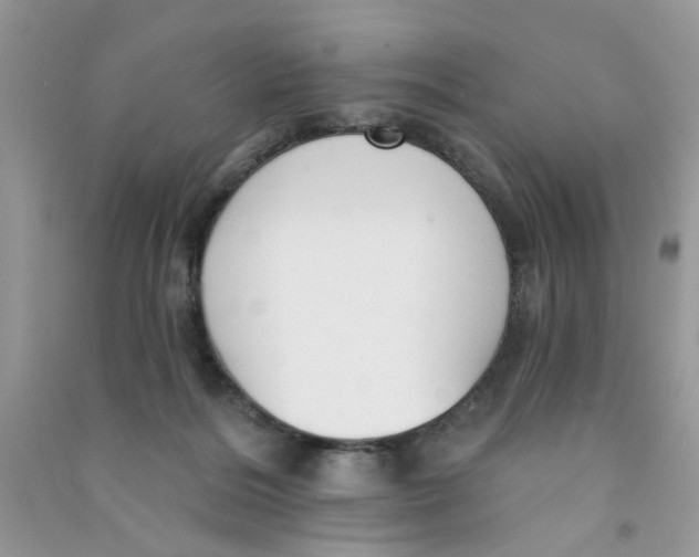 X0000090770220200708172114