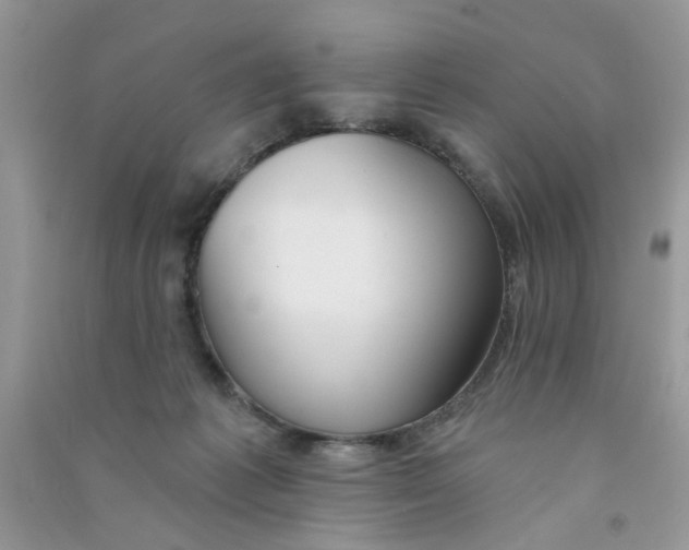 X0000090770221200708172114
