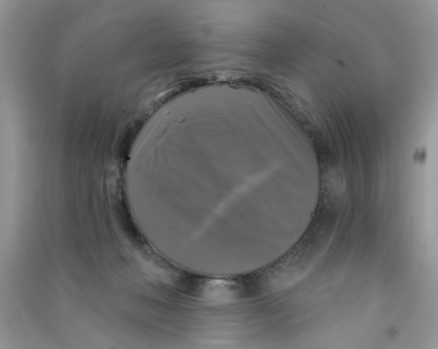 X0000090770222200708172114