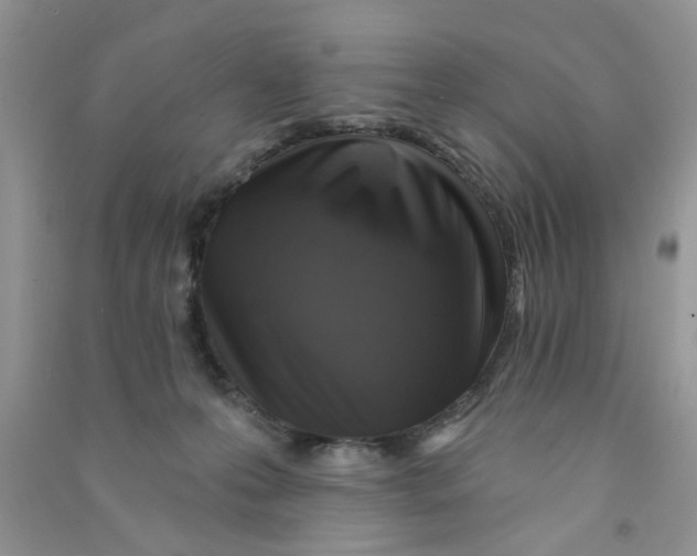 X0000090770223200708172114