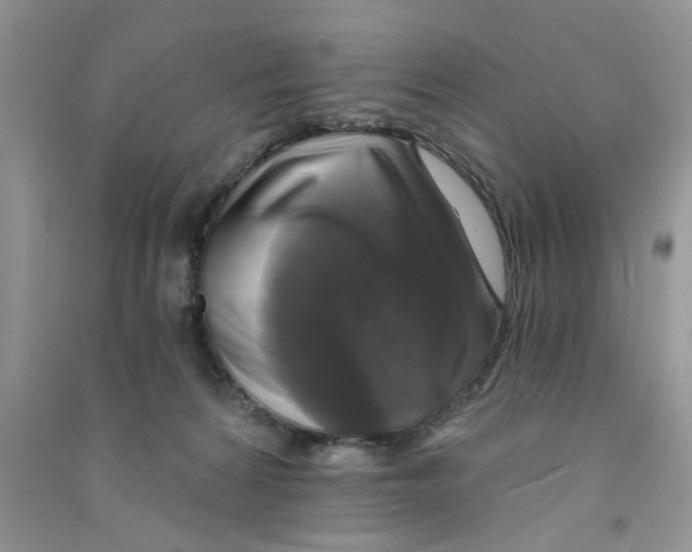 X0000090770224200708172114