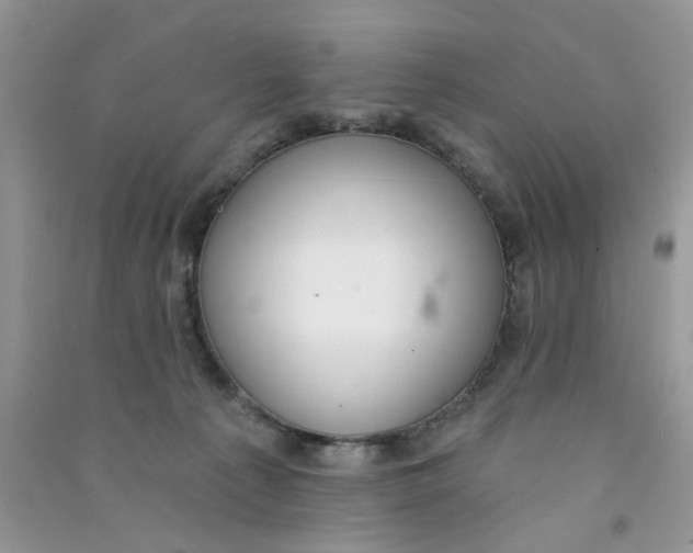 X0000090770225200708172114