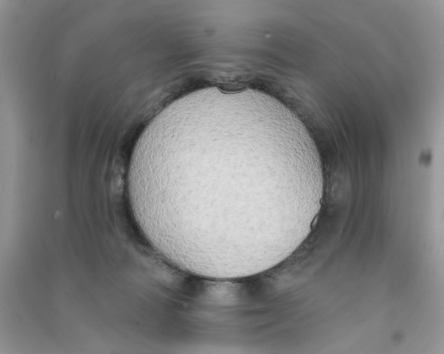 X0000090770226200708172114