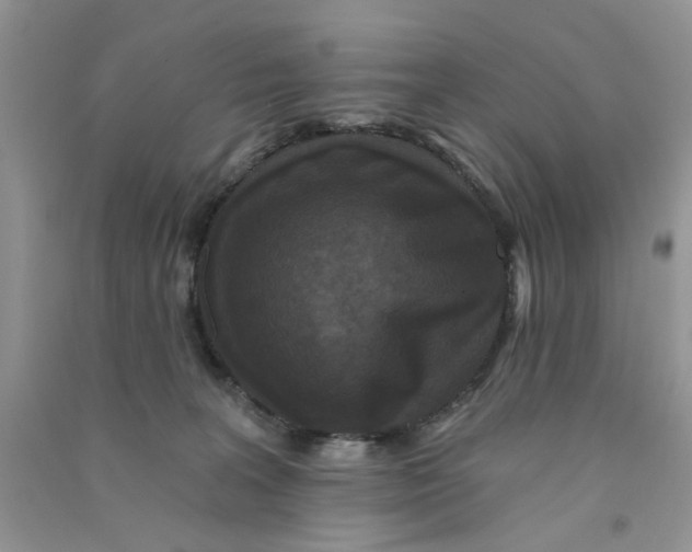 X0000090770227200708172114