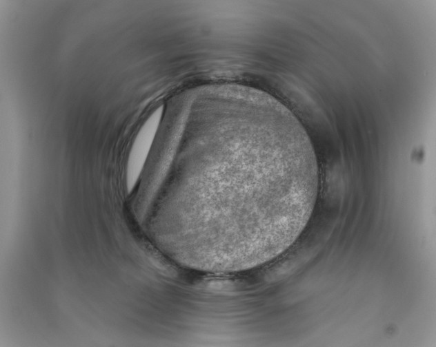 X0000090770228200708172114