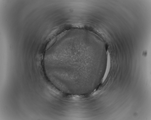 X0000090770229200708172114