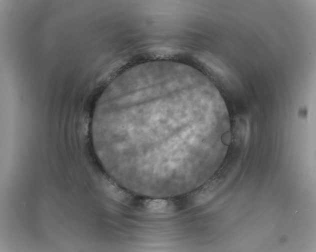 X0000090770230200708172114