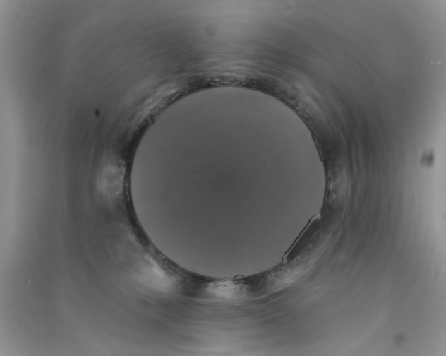 X0000090770231200708172114