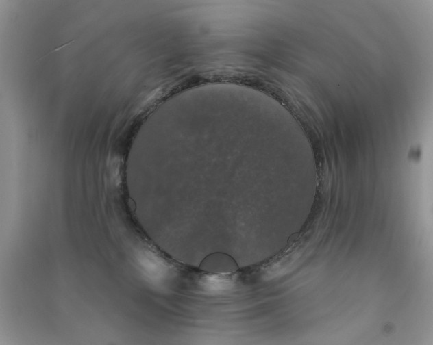 X0000090770232200708172114