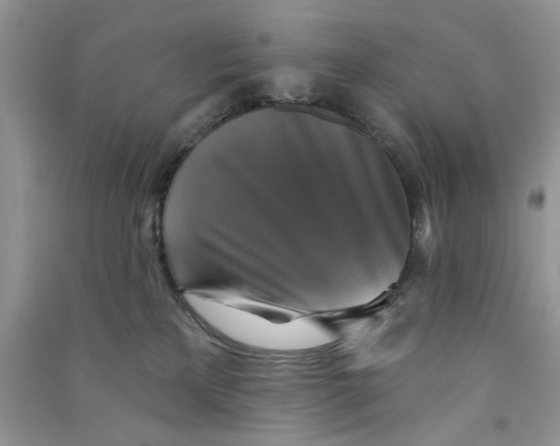 X0000090770233200708172114