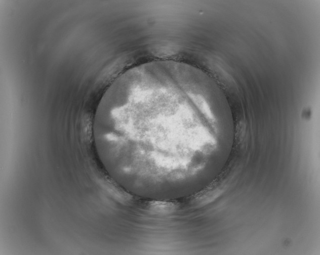 X0000090770234200708172114