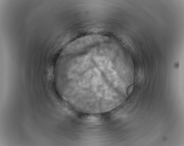 X0000090770236200708172114