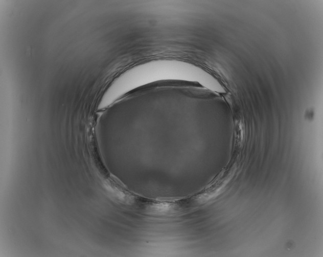 X0000090770237200708172114