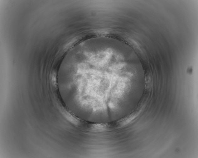 X0000090770238200708172114