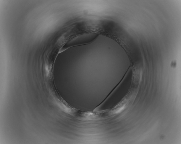 X0000090770239200708172114