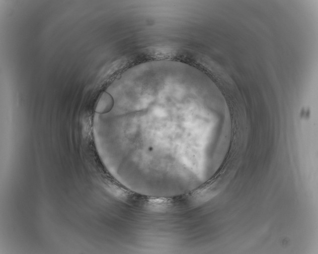 X0000090770240200708172114