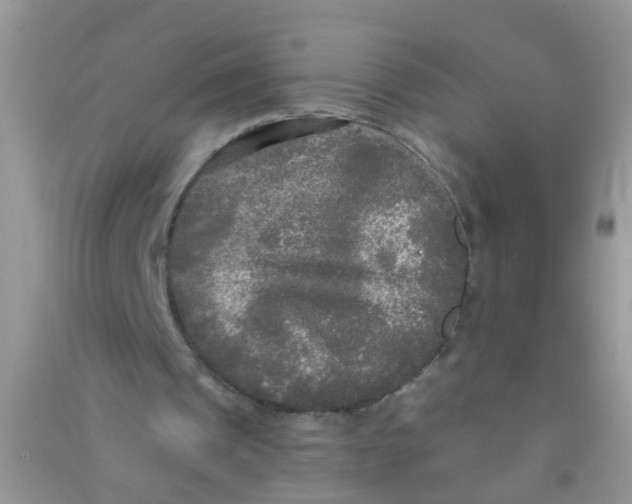 X0000090770241200708172113