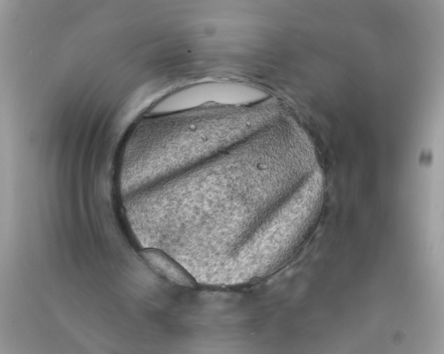 X0000090770242200708172113