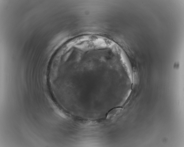 X0000090770243200708172113