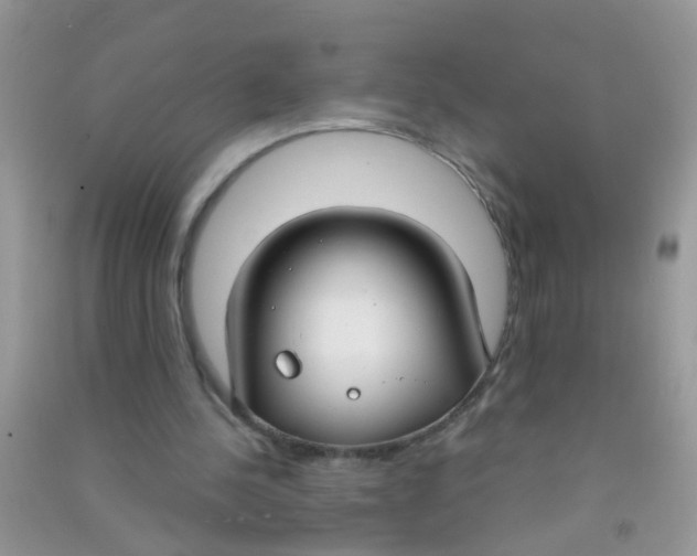 X0000090770244200708172113