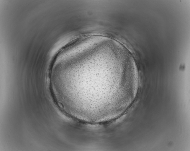 X0000090770245200708172113