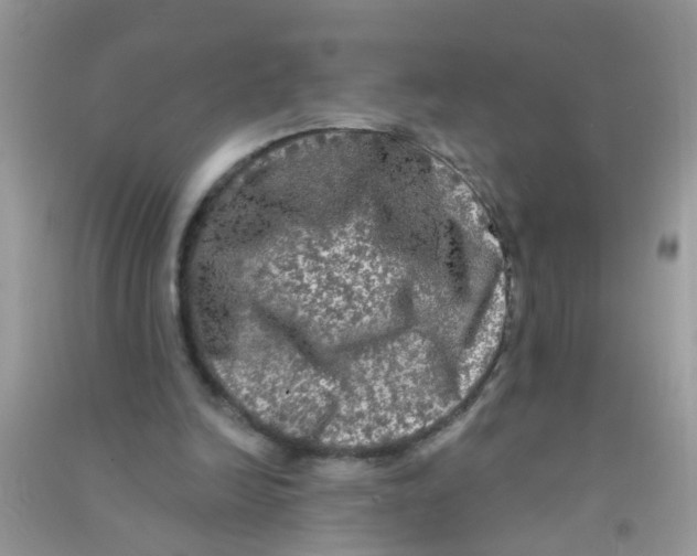 X0000090770246200708172113