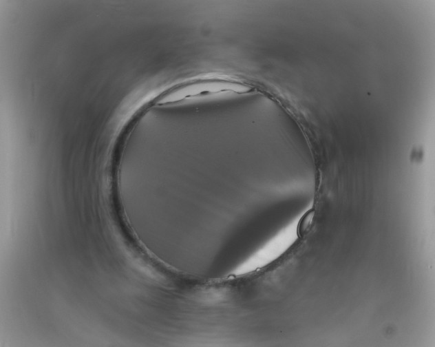 X0000090770247200708172113