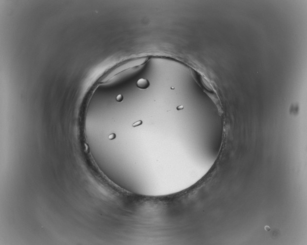 X0000090770248200708172113