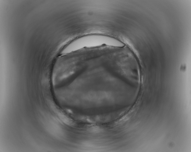 X0000090770249200708172113