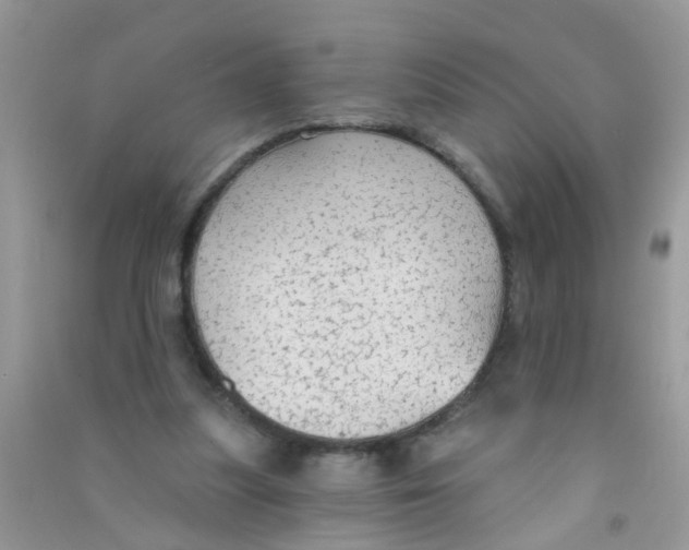 X0000090770251200708172114