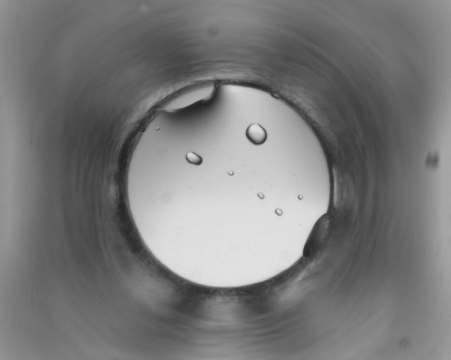 X0000090770252200708172114