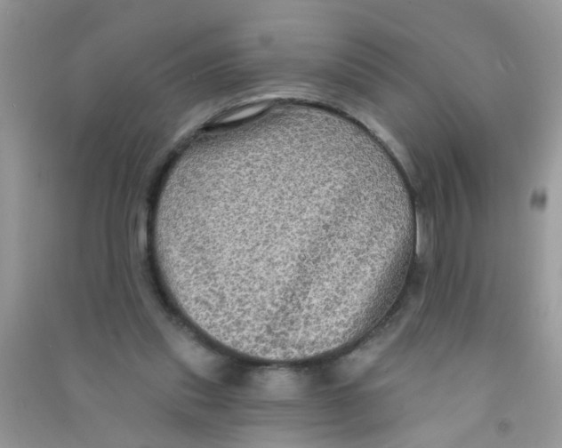 X0000090770253200708172114