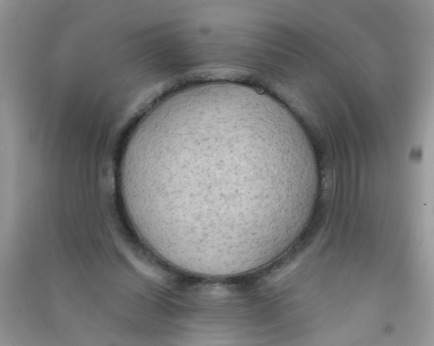 X0000090770254200708172114