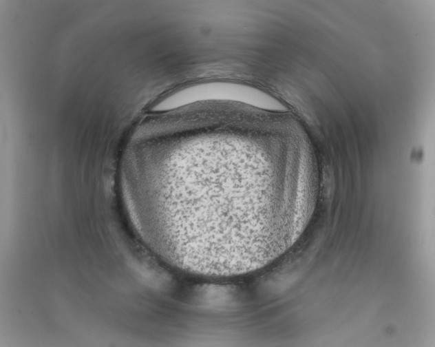 X0000090770255200708172114