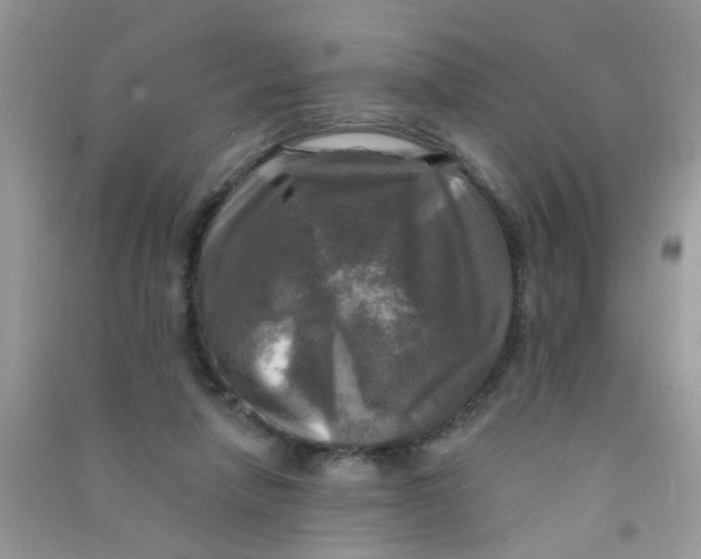 X0000090770258200708172114
