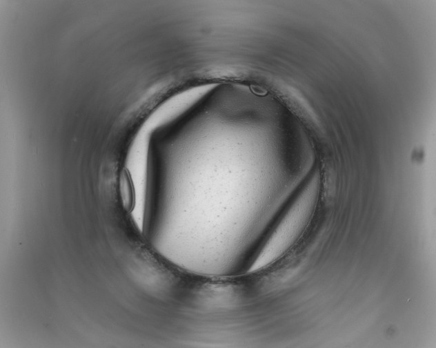 X0000090770260200708172114