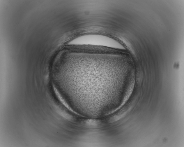 X0000090770261200708172114