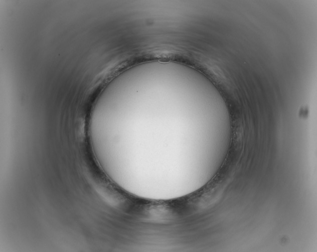 X0000090770262200708172114