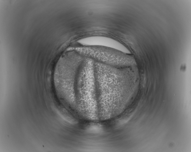 X0000090770263200708172114
