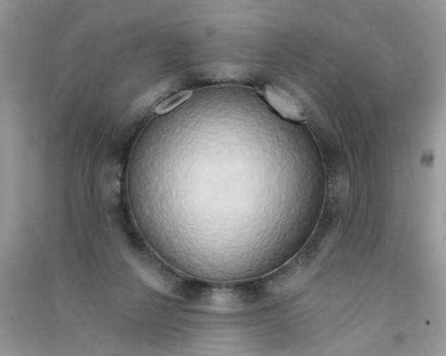 X0000090770264200708172114