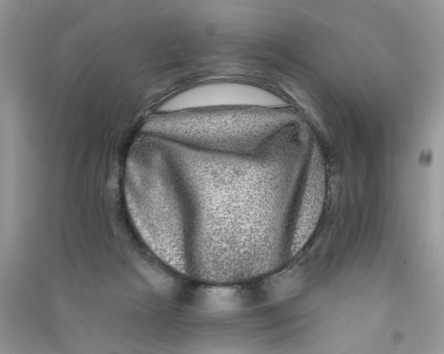 X0000090770265200708172114