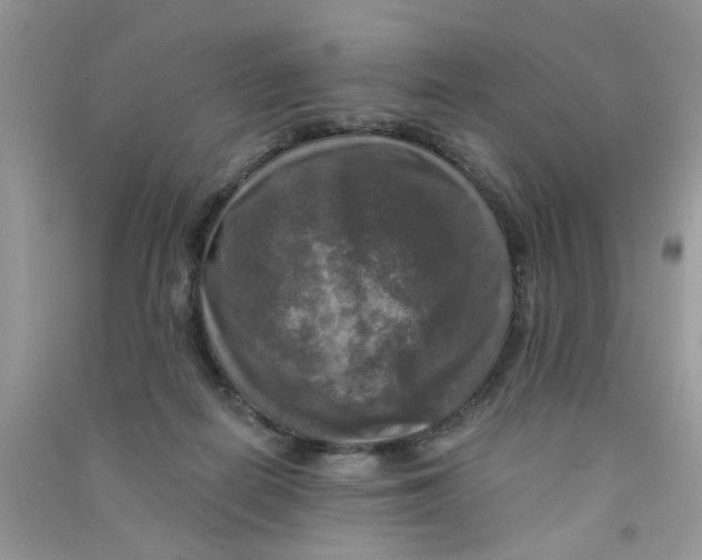 X0000090770266200708172114