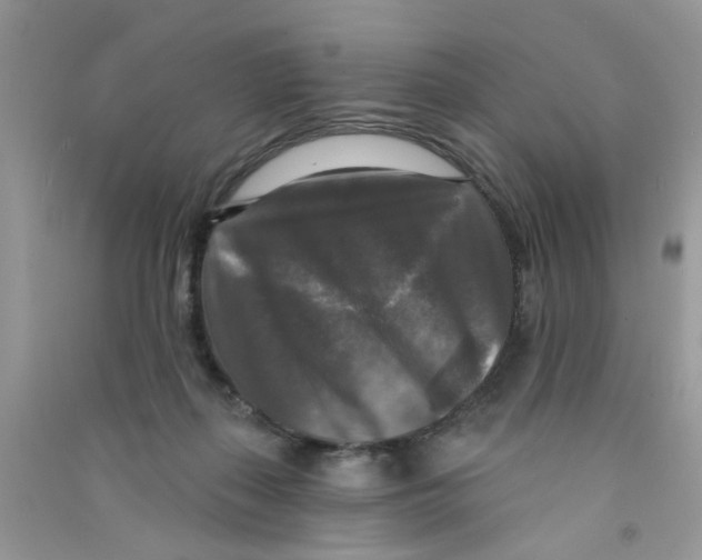 X0000090770267200708172114
