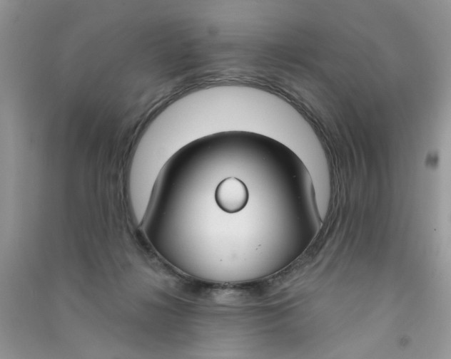 X0000090770268200708172114