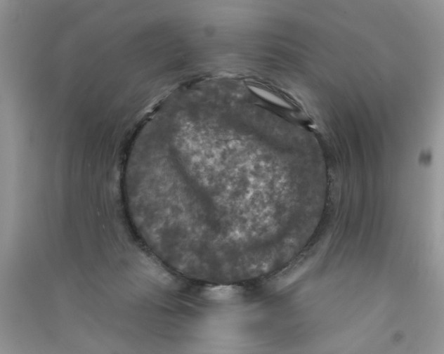 X0000090770269200708172114